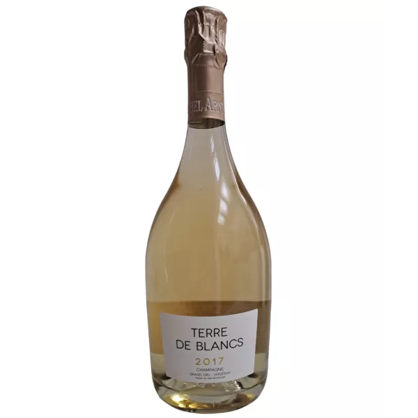 Bottle of Champagne Michel Arnould Blanc de Blancs Grand Cru Verzenay 2017, front view