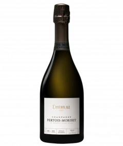 Bottle of Champagne Pertois-Moriset Assemblage Brut
