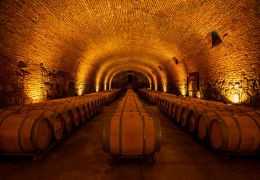 Oak Barrel Fermentation vs. Stainless Steel in Champagne: The Technical Impact