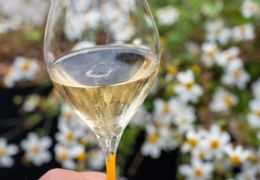 The Ultimate Guide to Brut Nature & Extra Brut: Why Zero Dosage is Trending