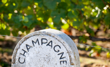  Terroir de la Champagne